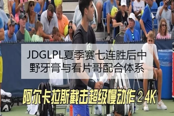 JDGLPL夏季赛七连胜后中野牙膏与看片哥配合体系